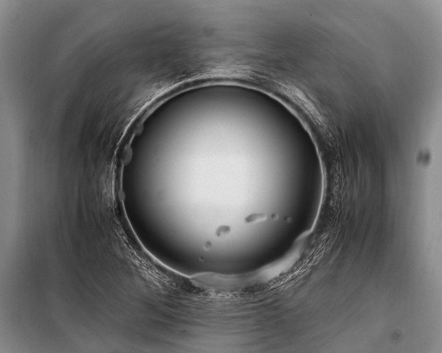 X0000100951268200807011300