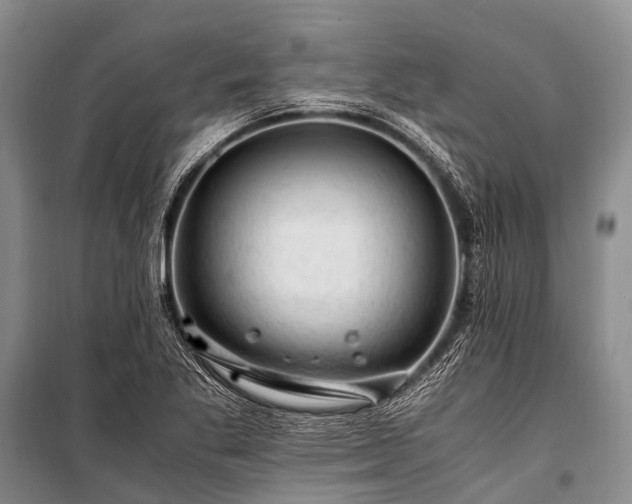 X0000100951269200807011300