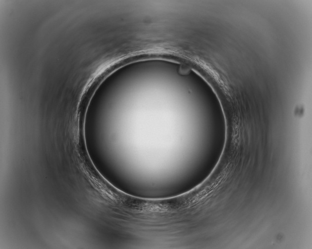 X0000100951270200807011300