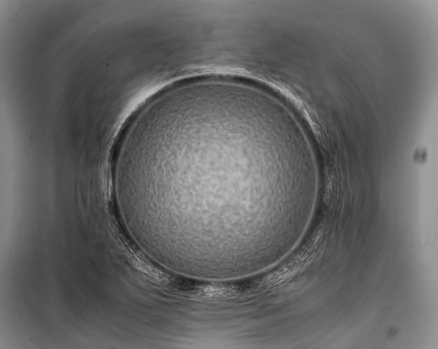 X0000100951271200807011300