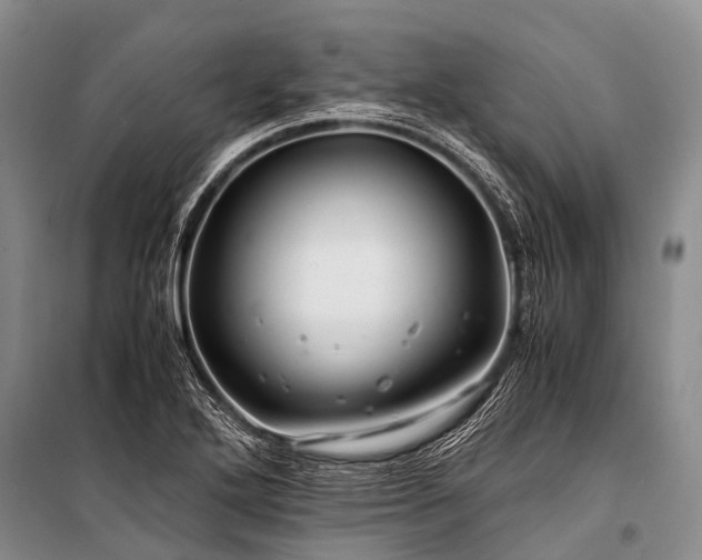 X0000100951272200807011300