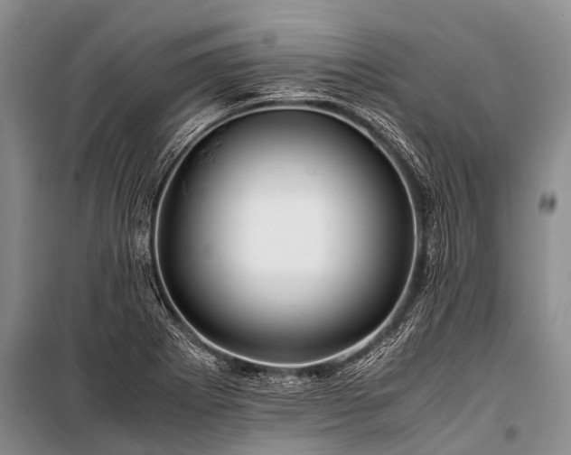 X0000100951273200807011300