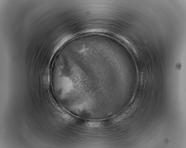 X0000100951274200807011300