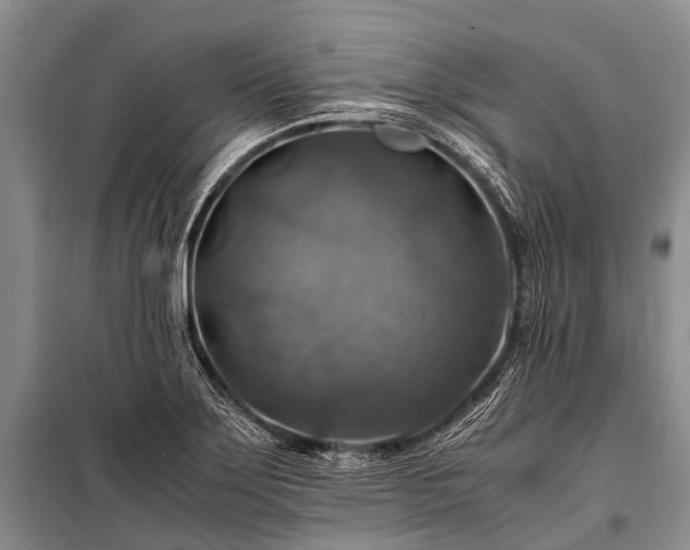X0000100951275200807011300