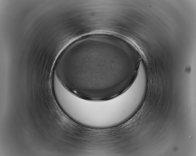 X0000100951276200807011300