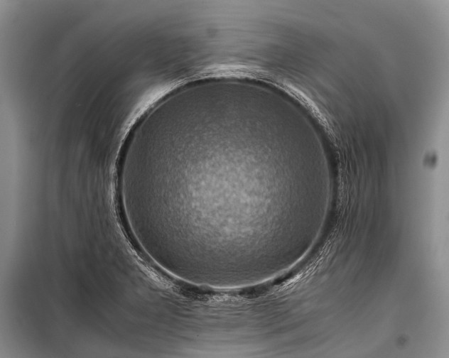 X0000100951277200807011300