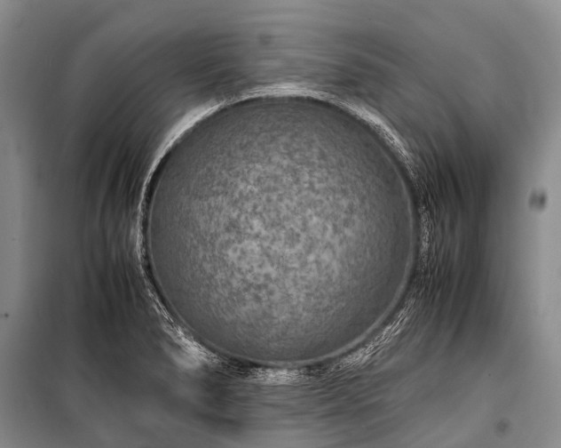 X0000100951278200807011300