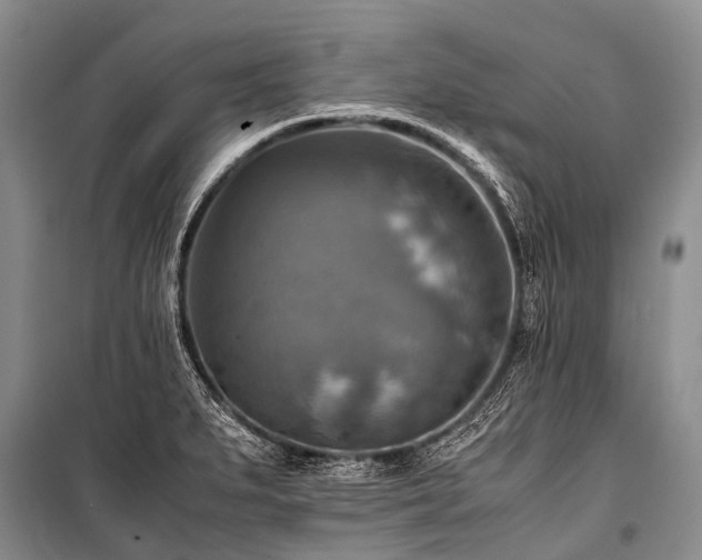 X0000100951279200807011300