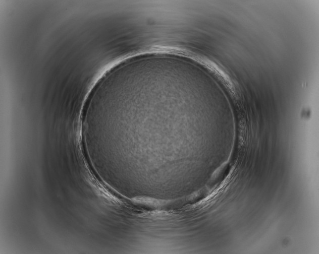 X0000100951280200807011300