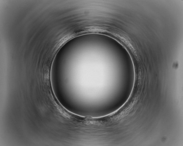 X0000100951281200807011300