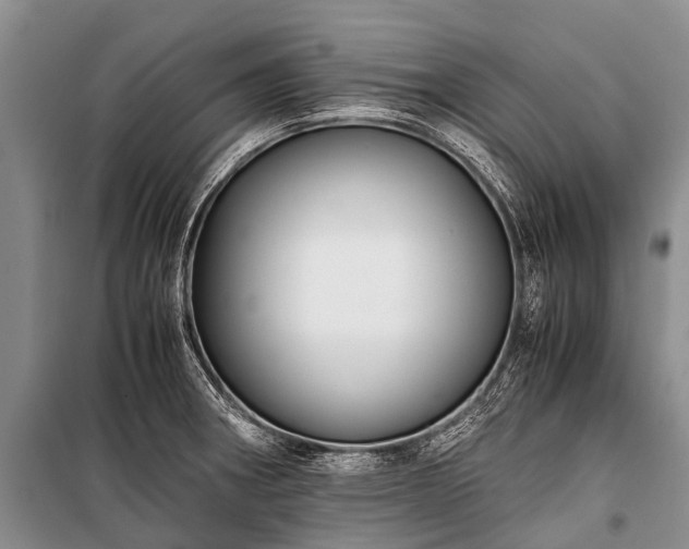 X0000100951282200807011300