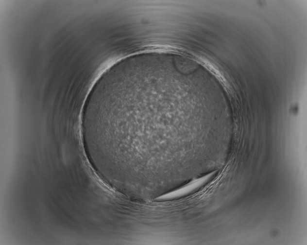 X0000100951283200807011300