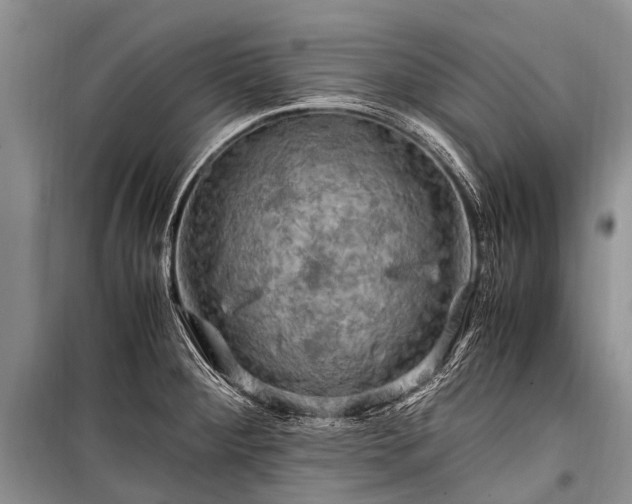 X0000100951284200807011300