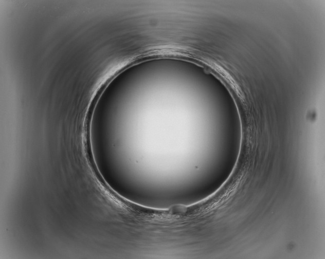 X0000100951285200807011300