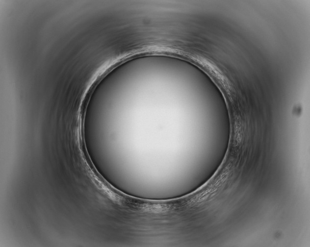X0000100951286200807011300