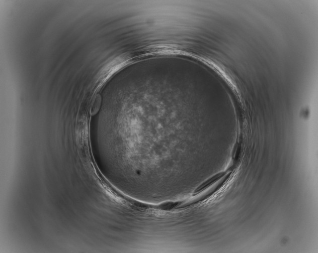 X0000100951289200807011300