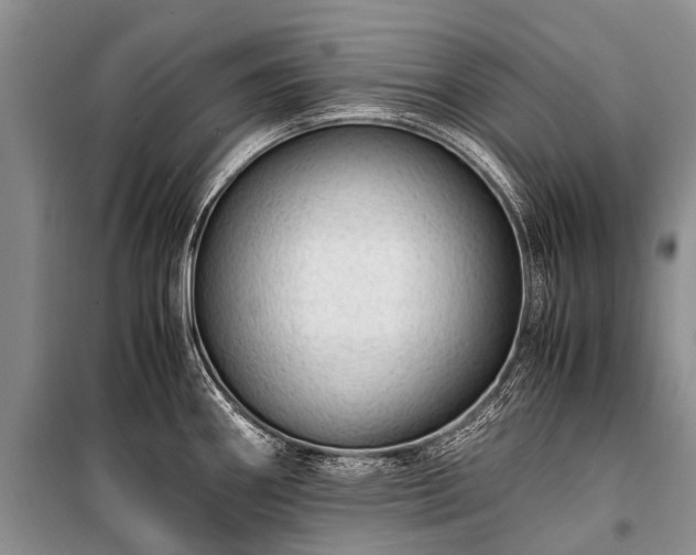 X0000100951290200807011300