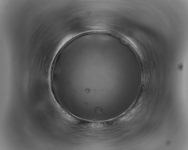 X0000100951291200807011300