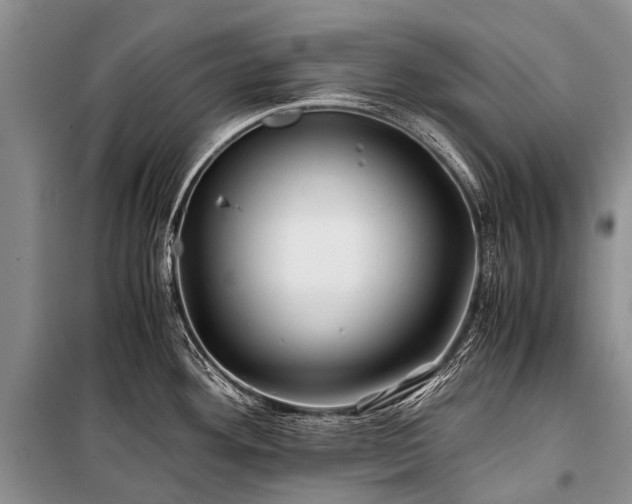 X0000100951292200807011300