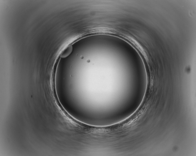 X0000100951293200807011300