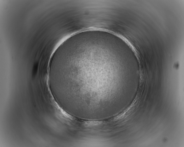 X0000100951294200807011300