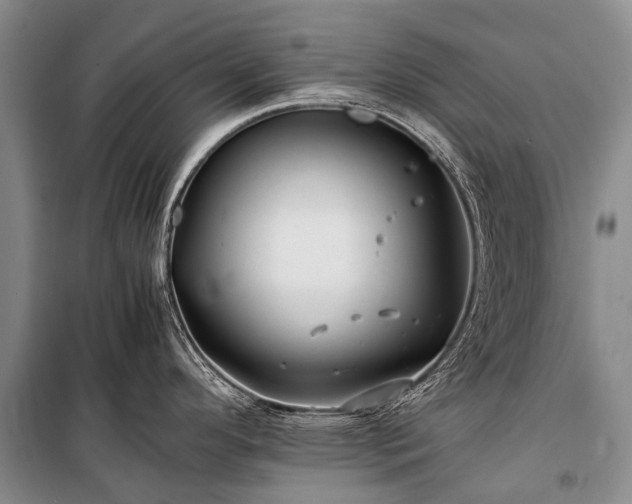 X0000100951296200807011300