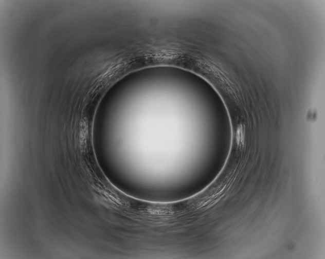 X0000100951299200807011259