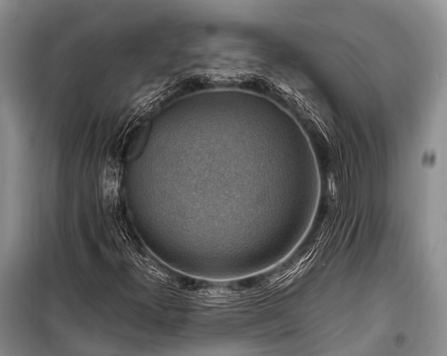 X0000100951300200807011259