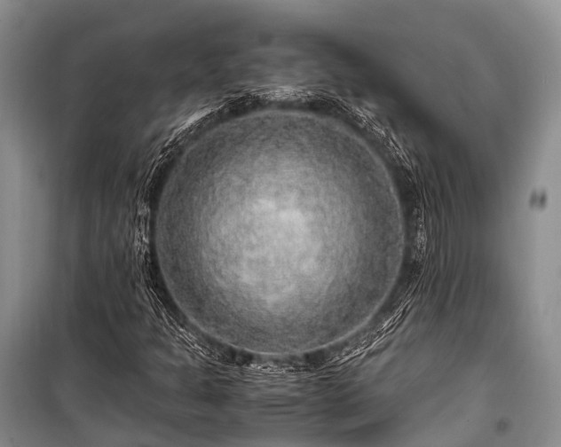 X0000100951301200807011259