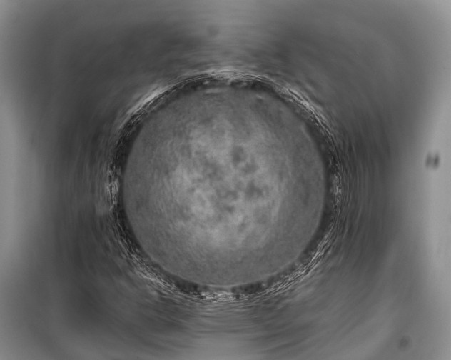 X0000100951302200807011259