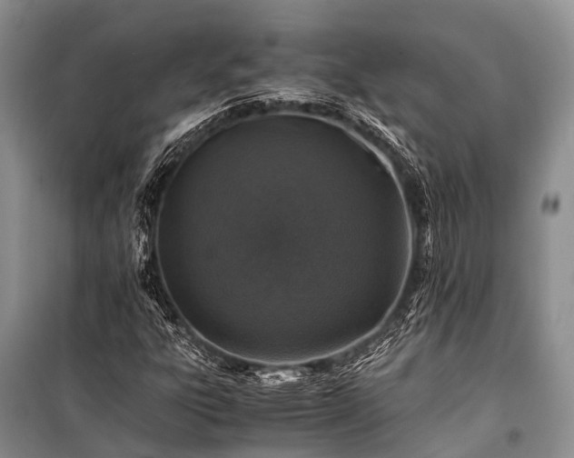 X0000100951303200807011259