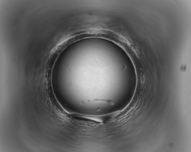 X0000100951304200807011259