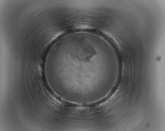 X0000100951305200807011259