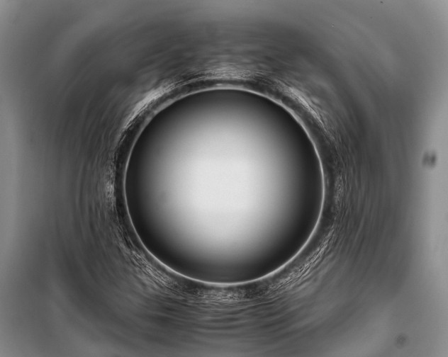 X0000100951307200807011259
