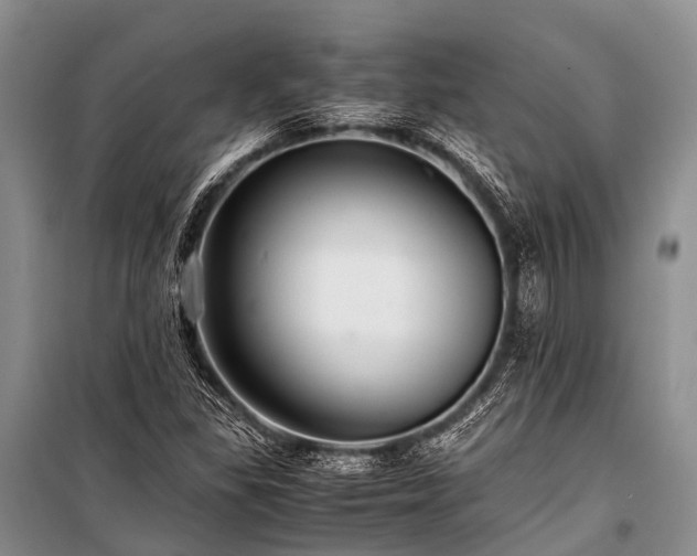 X0000100951309200807011259