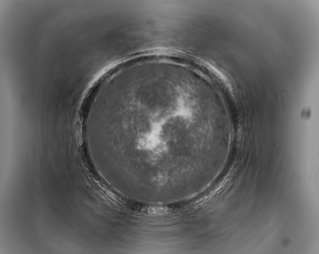 X0000100951310200807011259