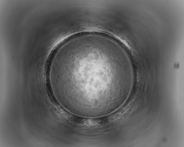 X0000100951311200807011259