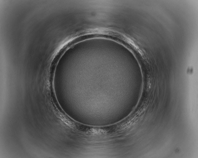 X0000100951312200807011259