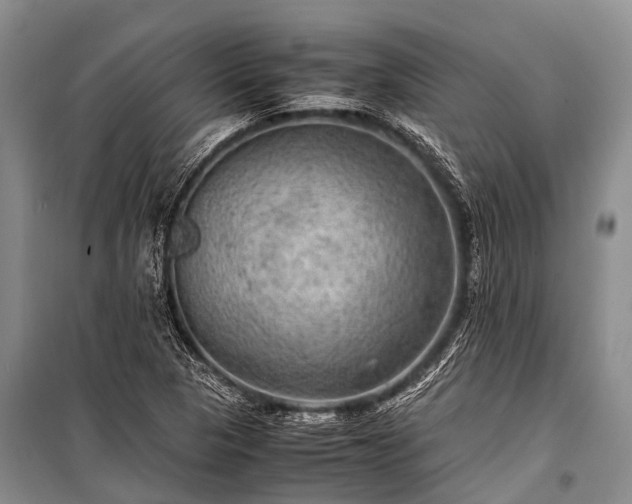X0000100951313200807011259