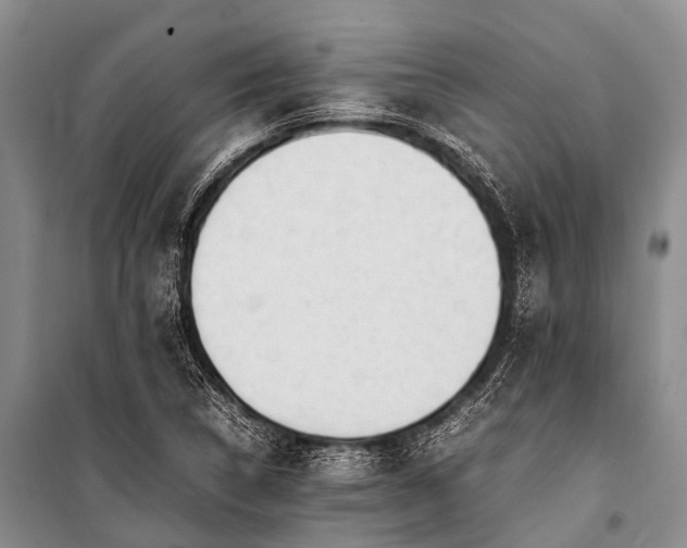 X0000100951314200807011259