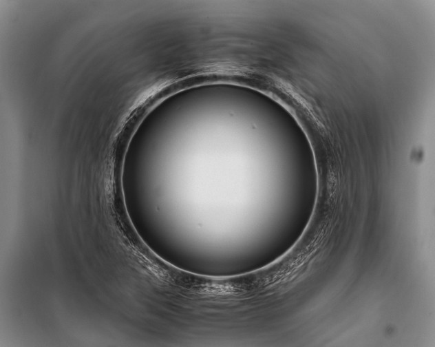 X0000100951315200807011259