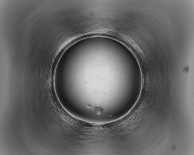 X0000100951316200807011259