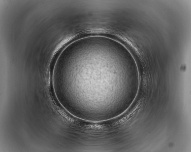 X0000100951317200807011259
