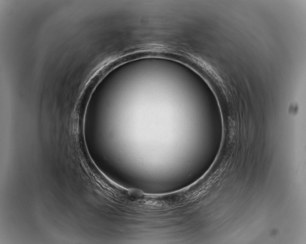 X0000100951318200807011259