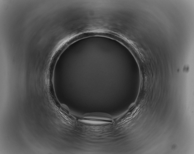 X0000100951319200807011259