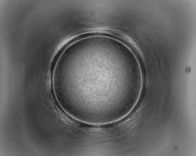 X0000100951320200807011259
