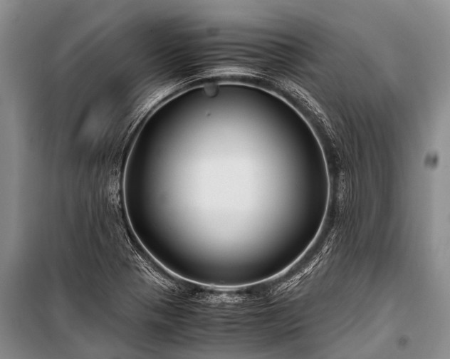 X0000100951321200807011259