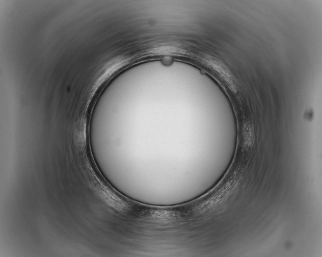 X0000100951322200807011259
