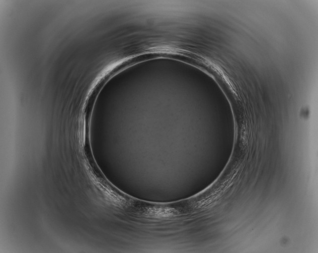 X0000100951323200807011259