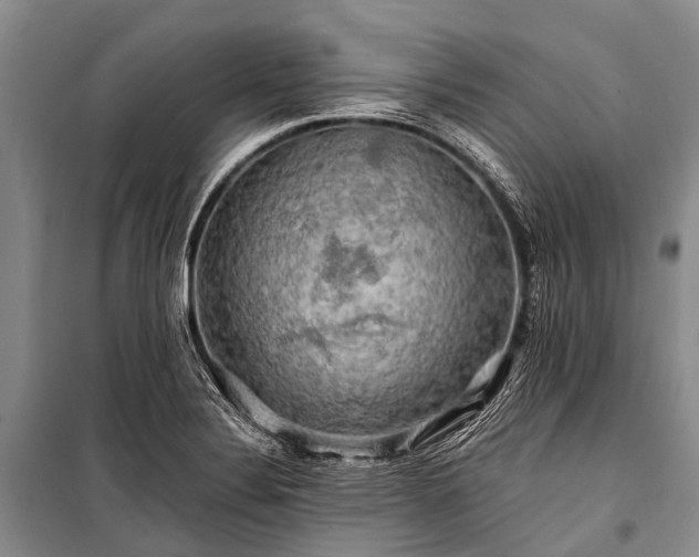 X0000100951324200807011259